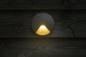 Preview: LightPro Wandleuchte Kuma