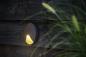 Preview: LightPro Wandleuchte Kuma