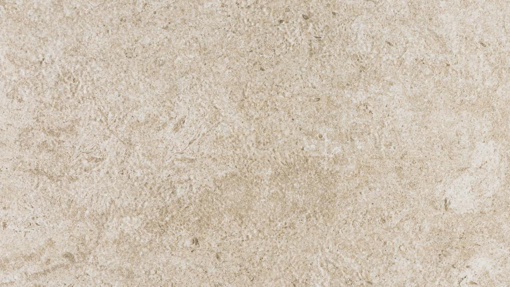 BASIC "CORA Ivory"
