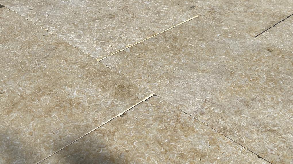 Terrassenplatten Kalkstein "CLEOPATRA" (creme-beige-gelb)