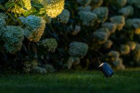 Preview: LightPro Strahler "STARTERPAKET"
